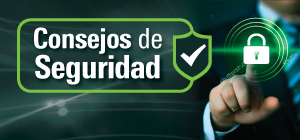 consejos-de-seguridad-300x140px
