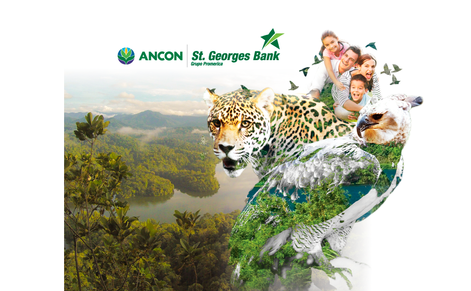banner-mobile-ancon