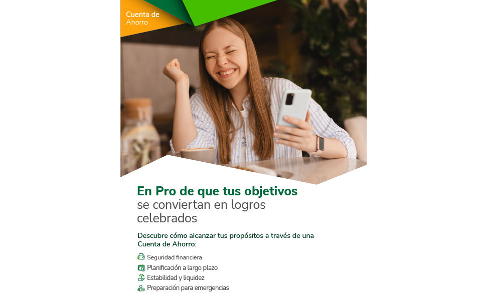 banner-web-movil