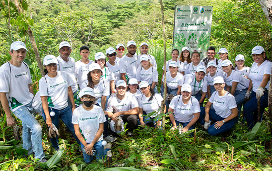 jornada-reforestacion-540x340px